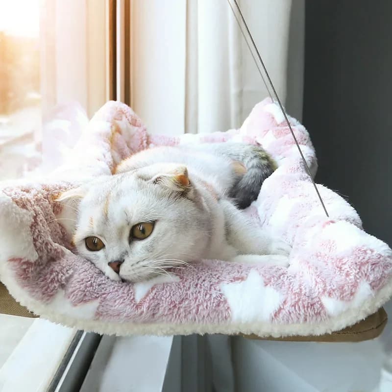 Amaca per gatti da finestra, lavabile e rimovibile, con ventose, lettino per animali domestici, per il riposo dei gatti, articoli per animali domestici