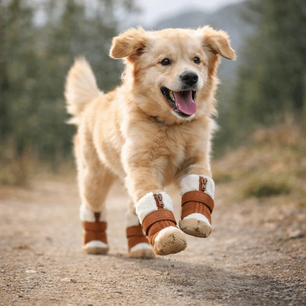 Set di 4 Scarpe Impermeabili Invernali per Cani, Stivali Caldi Regolabili e Resistenti all'Usura, Protezione per Zampe Rinforzata