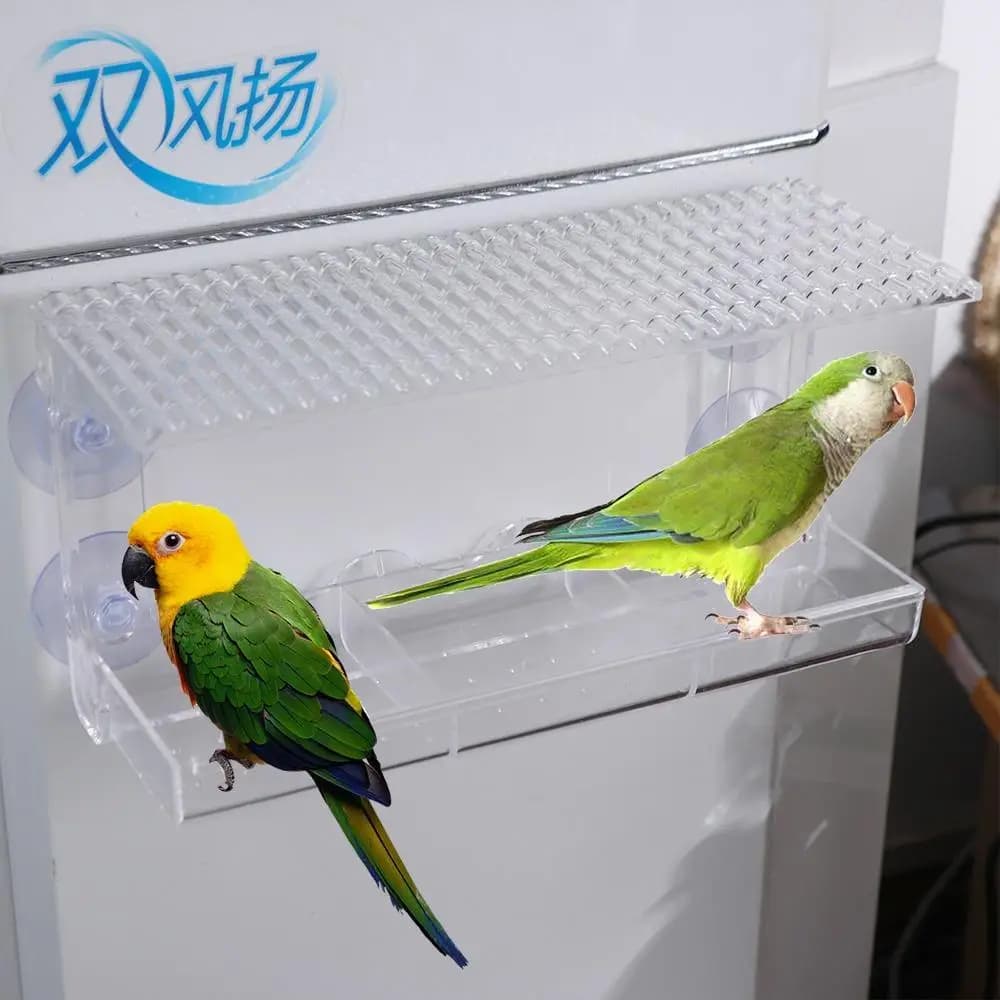 Finestra trasparente Mangiatoia per uccelli Vassoi per alimentazione per uccelli staccabili montati su finestra Foro di drenaggio con ventose Contenitore per alimenti per uccelli Cortile