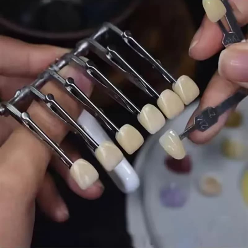 Morsetto a sei denti smaltato per laboratorio dentale Impiallacciatura in ceramica Pennello in porcellana Morsetto per supporto per corona temporanea smaltata Strumenti per protesi dentale