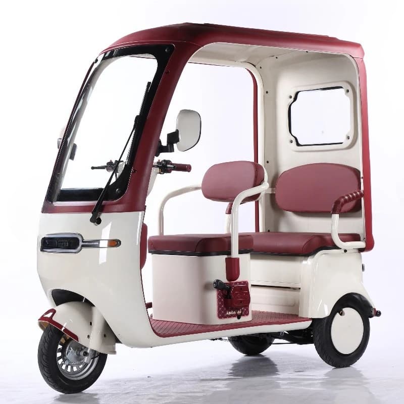 Triciclo elettrico a 3 ruote per adulti e anziani