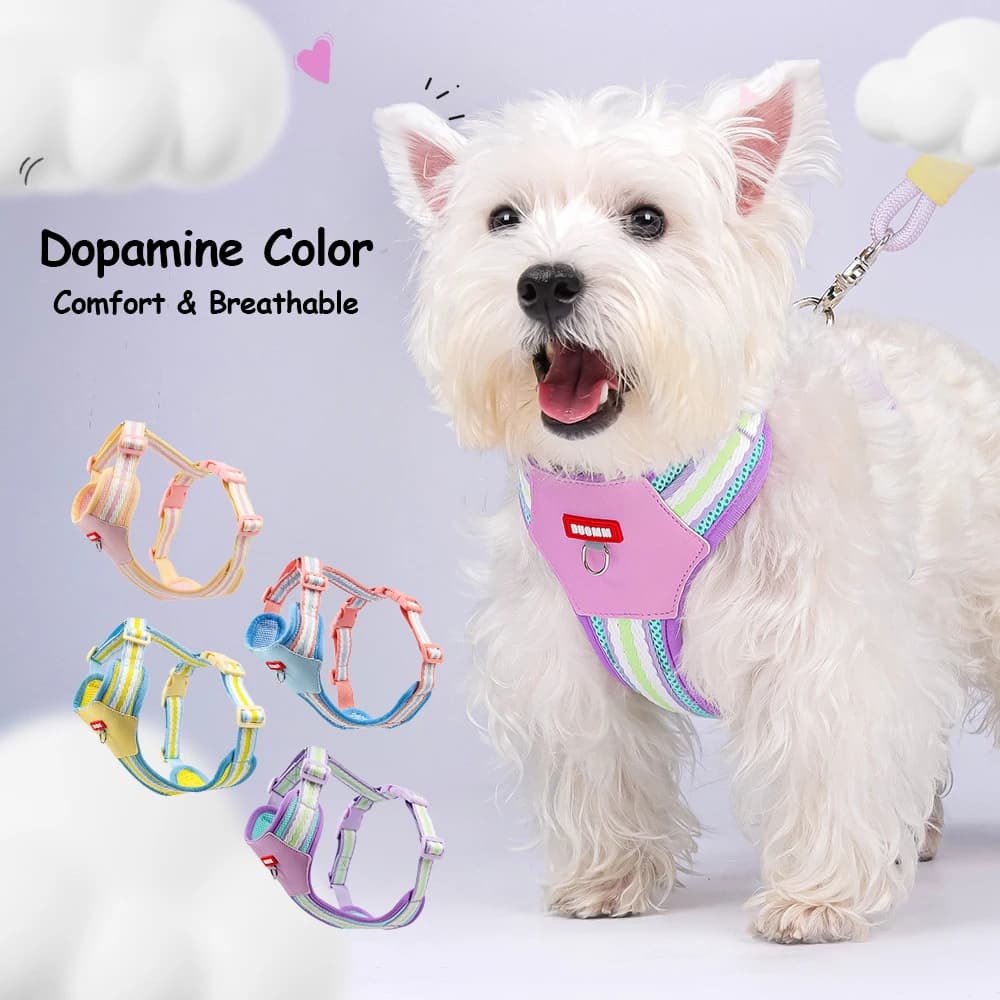 Pettorina per Cani Piccoli e Medi Dopamine Color, Traspirante, Morbida e Confortevole, per Bichon Frise, con Blocchi di Colore, Anti-Trazione, per Passeggio