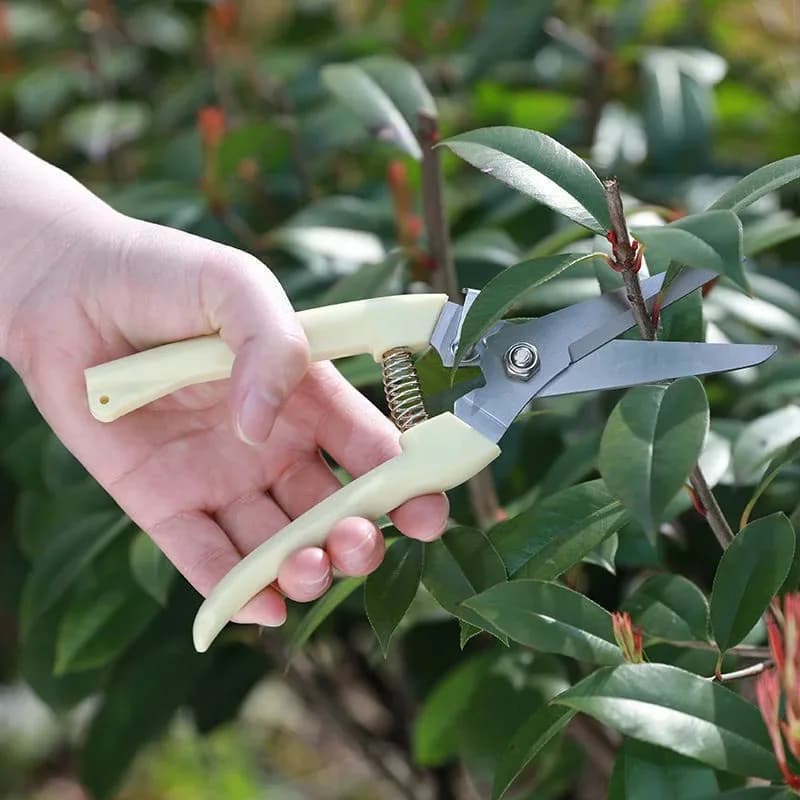 1PC Stainless Steel bypass multifunctional pruning scissors tree branch sharp cutter durable garden hand cutting tool