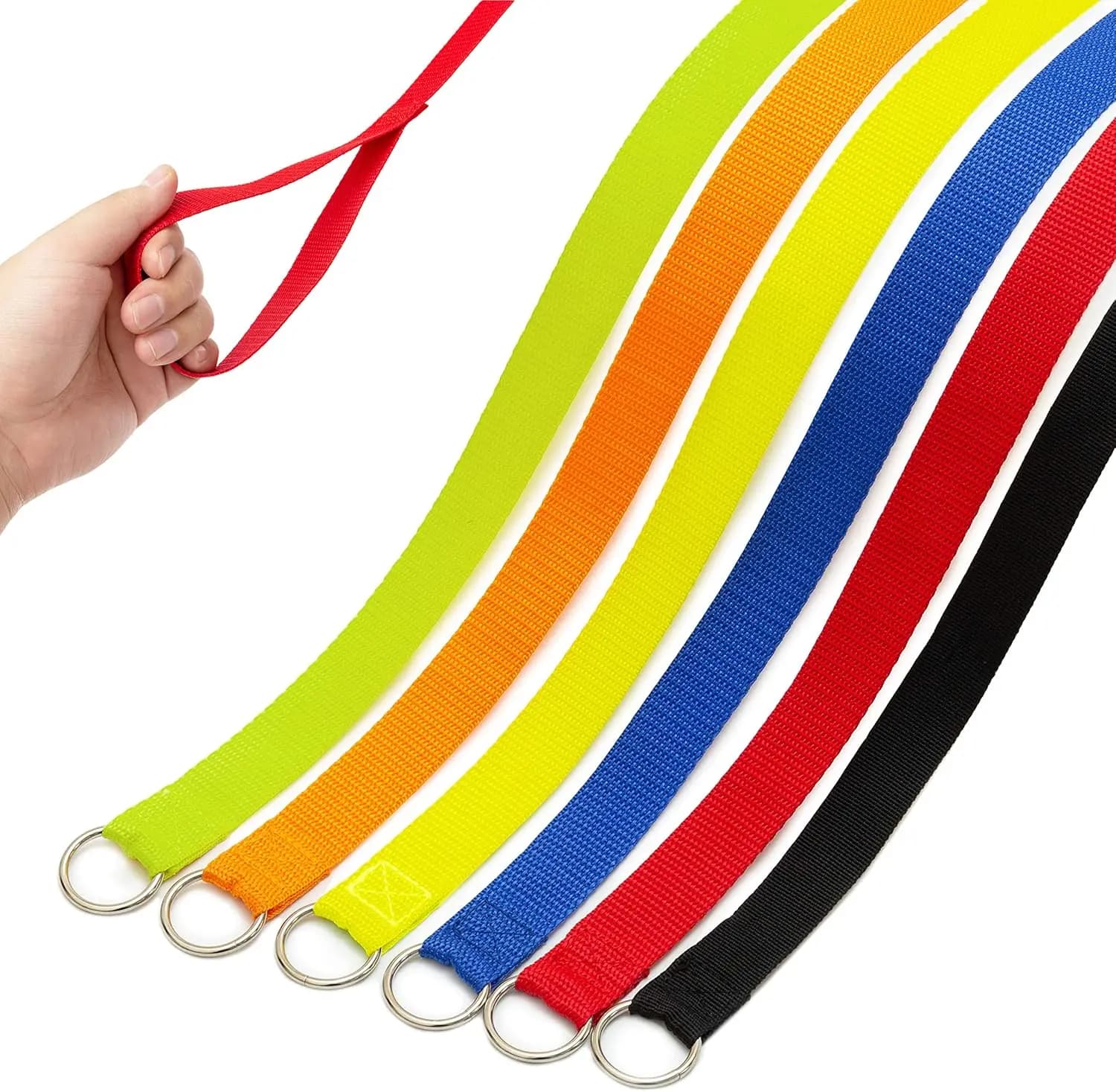Set di 6 Guinzagli per Cani, Guinzaglio da 1,8 m Resistente per Cani e Gatti, per Passeggiate, Addestramento, Toelettatura e Rifugio