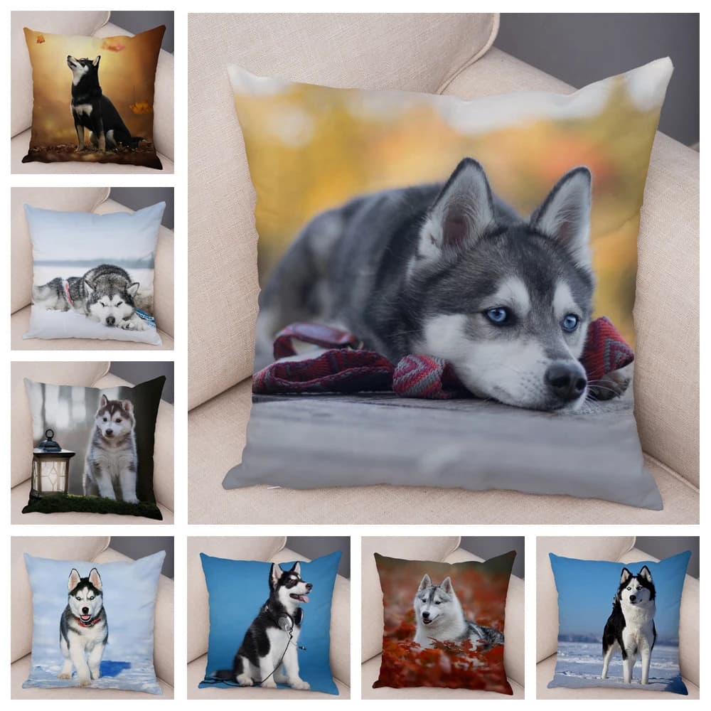 Fodera per cuscino per divano per animali domestici simpatica federa Husky siberiana con stampa decorativa per cani