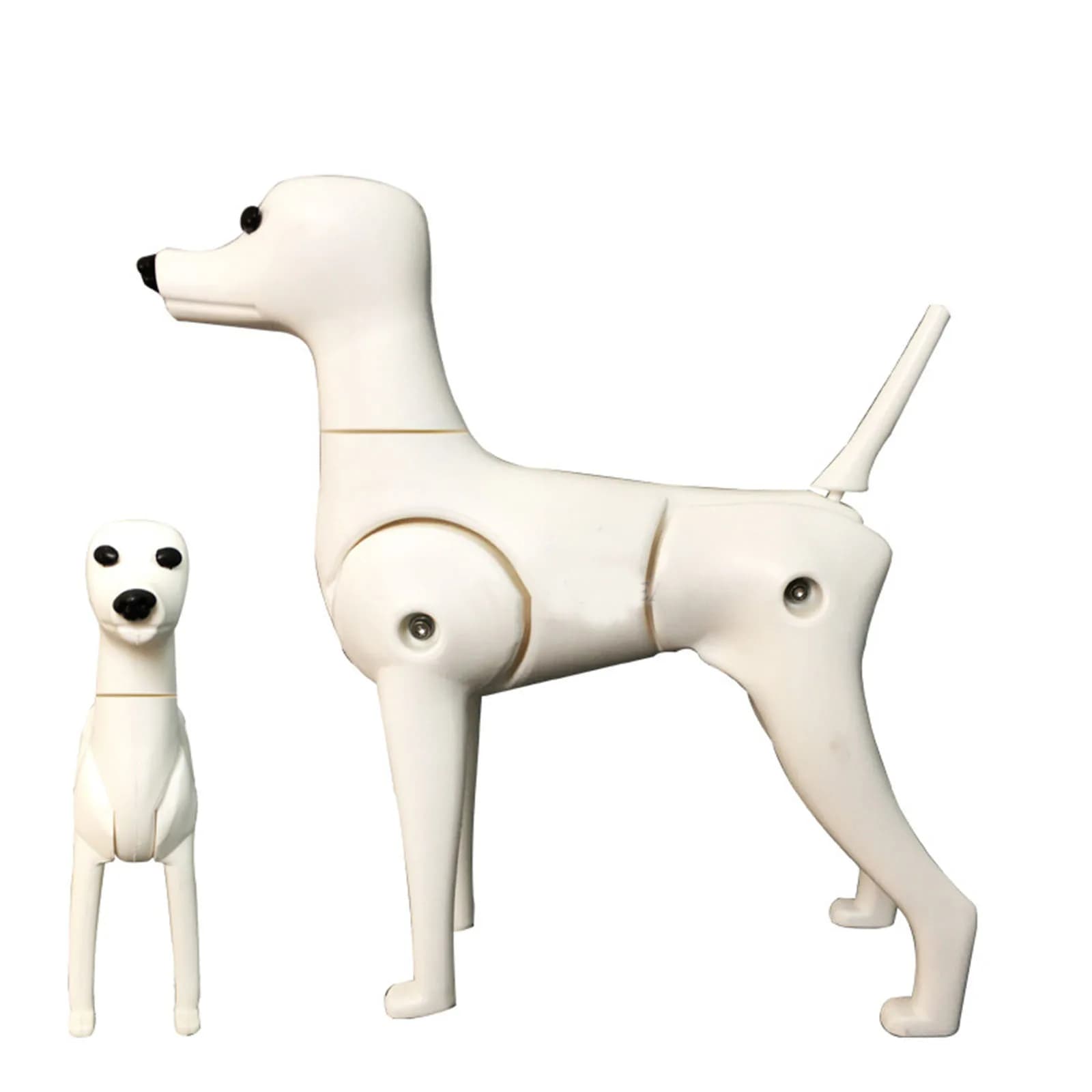 Modello di cane finto per toelettatura professionale per animali domestici modello di cane modello di scheletro Standard modello di simulatore di animali domestici