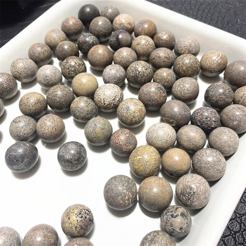 3 pezzi di sfera di osso di dinosauro sfera di pietra naturale liscia lucida ciottolo Reiki guarigione pietra di chakra decorazione della casa