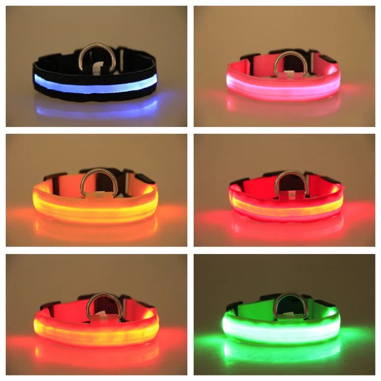 Guinzaglio di sicurezza riflettente in nylon con collare per cani che si illumina al buio a LED per passeggiate notturne