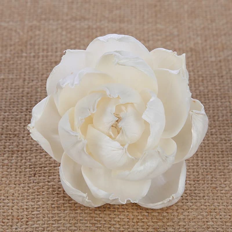 1PC simulazione fiore di peonia aromaterapia diffusore di fragranze accessori fai da te casa soggiorno camera da letto decorazione