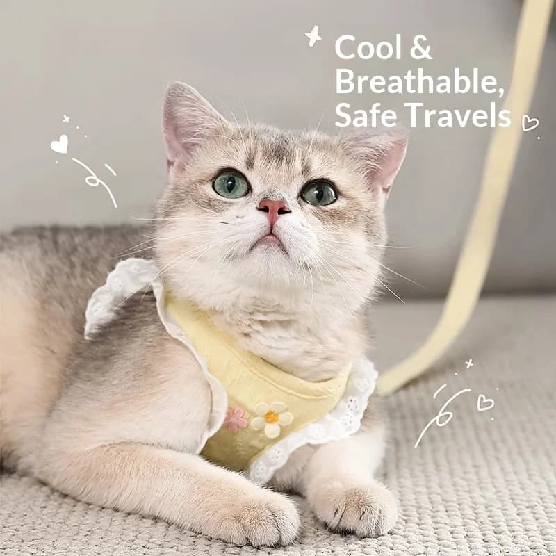Escape Proof Cat Harness and Leash Set Lace Breathable Vest Walking Harness Adjustable Lightweight Strap for Kitten Small Dogs