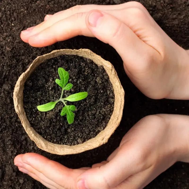 Biodegradable Plant Pots Eco Pulp Seed Starter Cups Flowers Breathable Growth