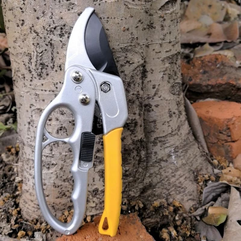 Labor‑Saving Bypass Pruning Shears, Professional Sharp Branch Cutter for Fruit Tree Household Garden Trimming