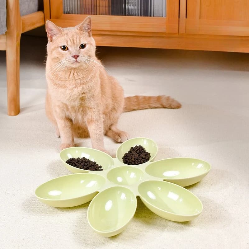 Pet Bowl Multi-pet Flower Shape Food Bowl Anti-slip Feeding Dish for Kitten Puppy Stray Cat Dog Home Supplies