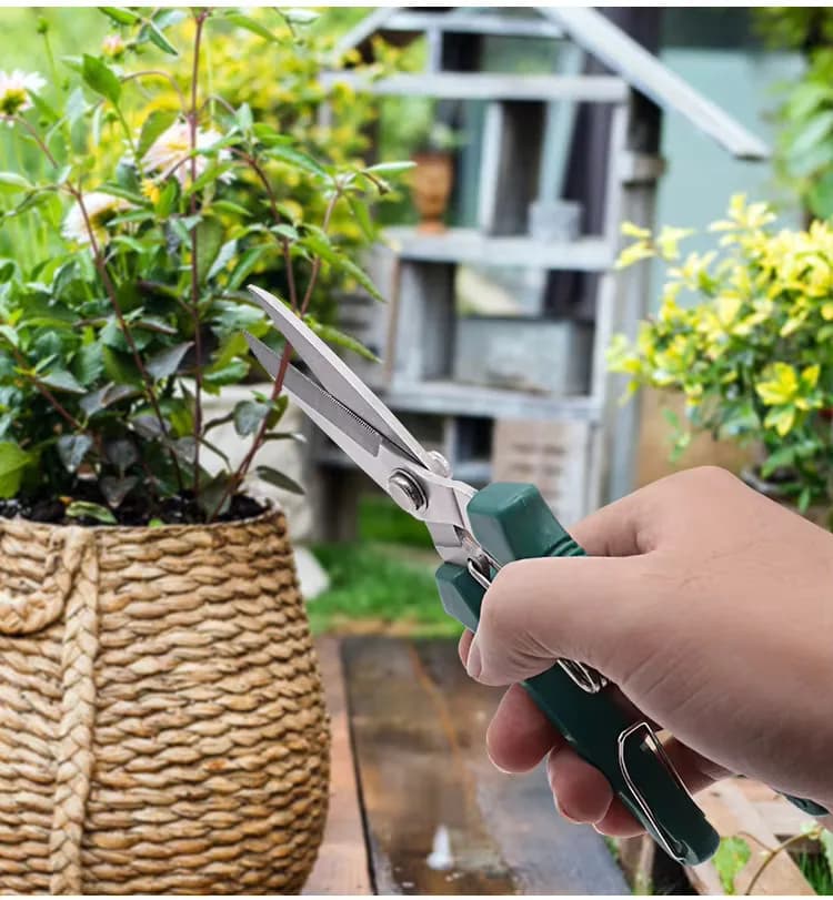 1 Pcs Straight Head Pruning Shears Non-slip HandleStainless Steel Outils Manuels Household Bonsai Garden Scissors Pruing Shear