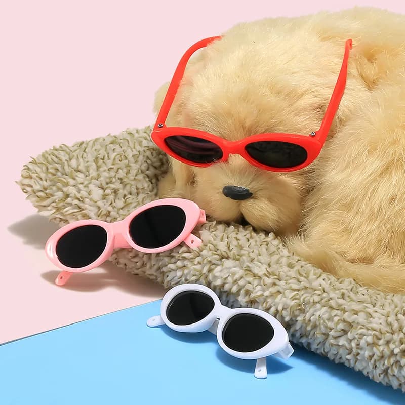 Nuovo coreano Cat Eye Cool Pet Dog Cat Occhiali da sole creativi Puntelli per foto Occhiali da sole decorativi Accessori per cani