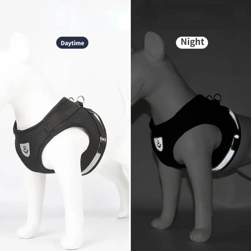 Imbracatura a maglia traspirante per cani con guinzaglio, regolabile, facile da controllare, riflettente, con collare integrato