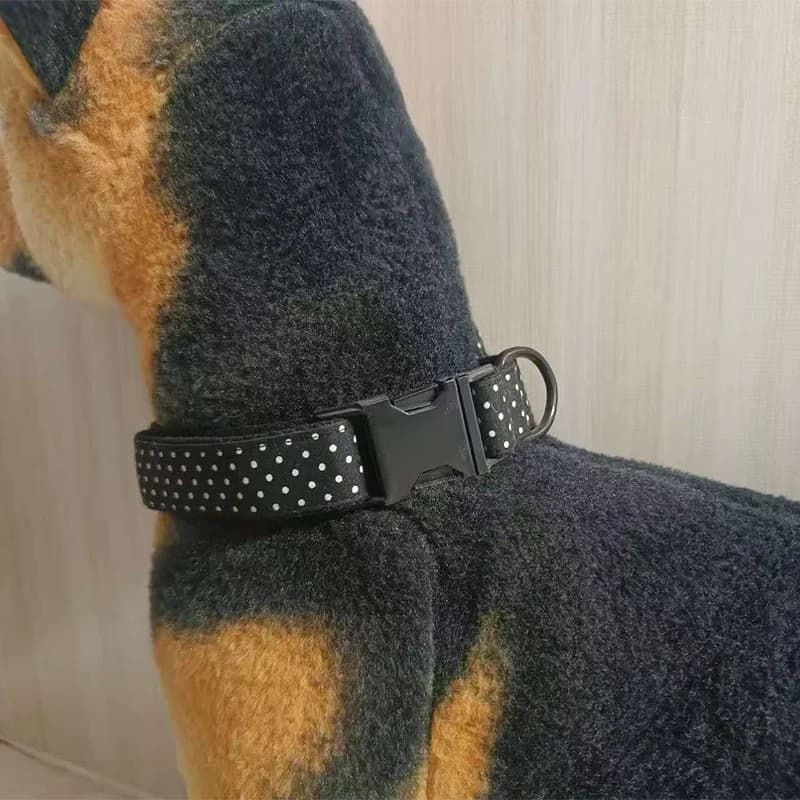 20 Set di Accessori per Collari per Cani da 20mm: Fibbia in Metallo, Anello a D, Moschettone, Regolatore, Cinghie per Imbracatura, Passante per Cintura, Accessori per Cucito