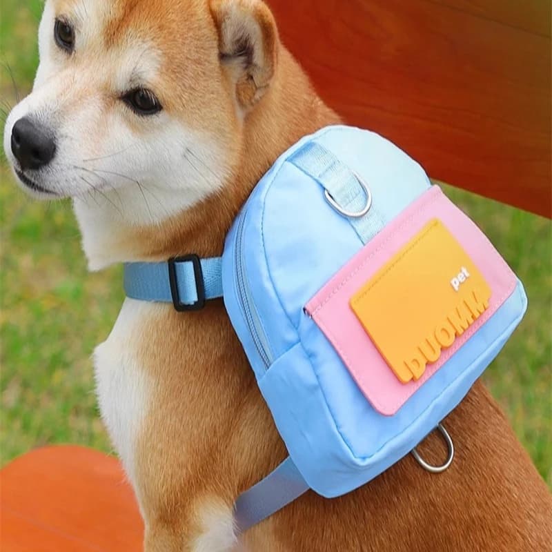 Zaino Impermeabile per Cani e Cuccioli, Borsa da Viaggio con Imbracatura, Accessori per Bulldog Francese