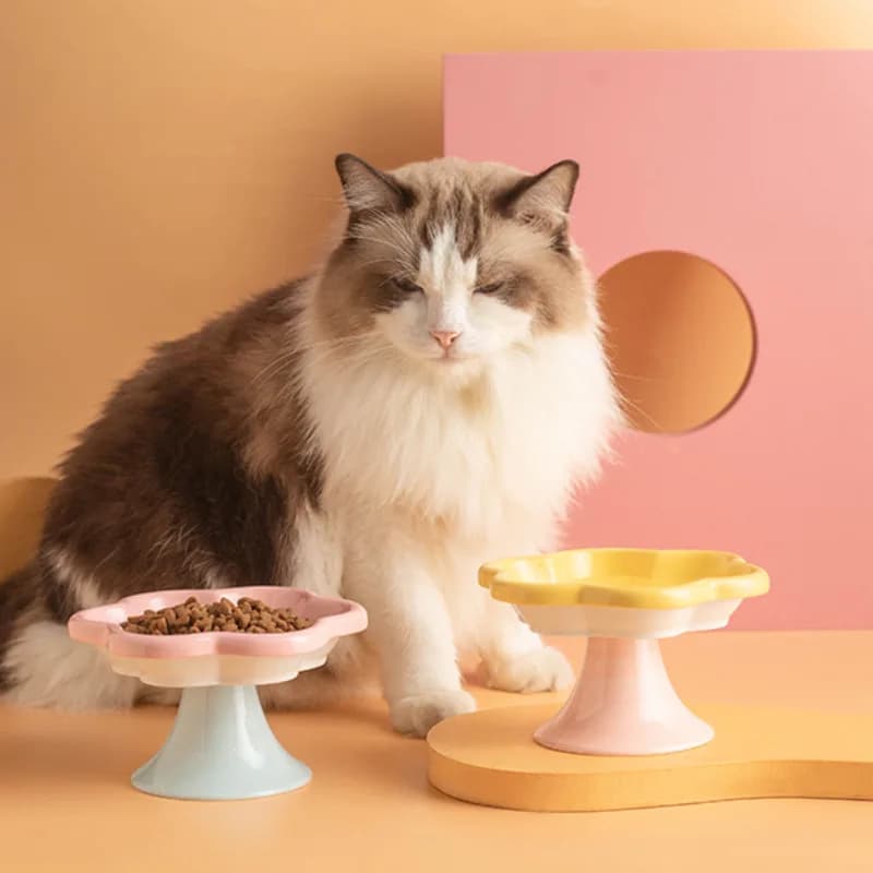 Ciotola per gatti in ceramica con gambe alte, design elevato di fiori di macaron, cibo per animali domestici e piatto per acqua con base antiscivolo, alimentazione confortevole