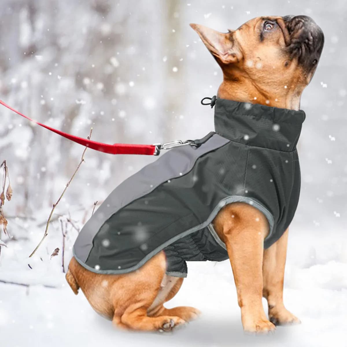 Dog Coat Waterproof Reflective Warm Winter Black Size Xs Adjustable Harness Cozy Jacket for Small Medium Large Dogs