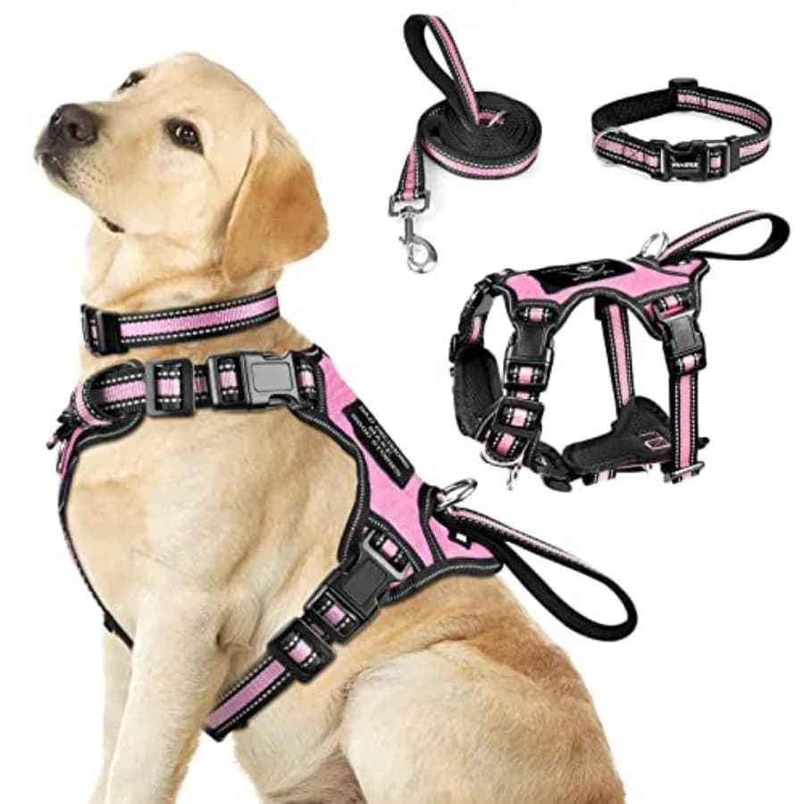 Set Pettorina, Collare e Guinzaglio per Cani, Pettorina Riflettente Tutto-in-uno Senza Trazione con Fibbie Regolabili per Cuccioli, e Extra-D