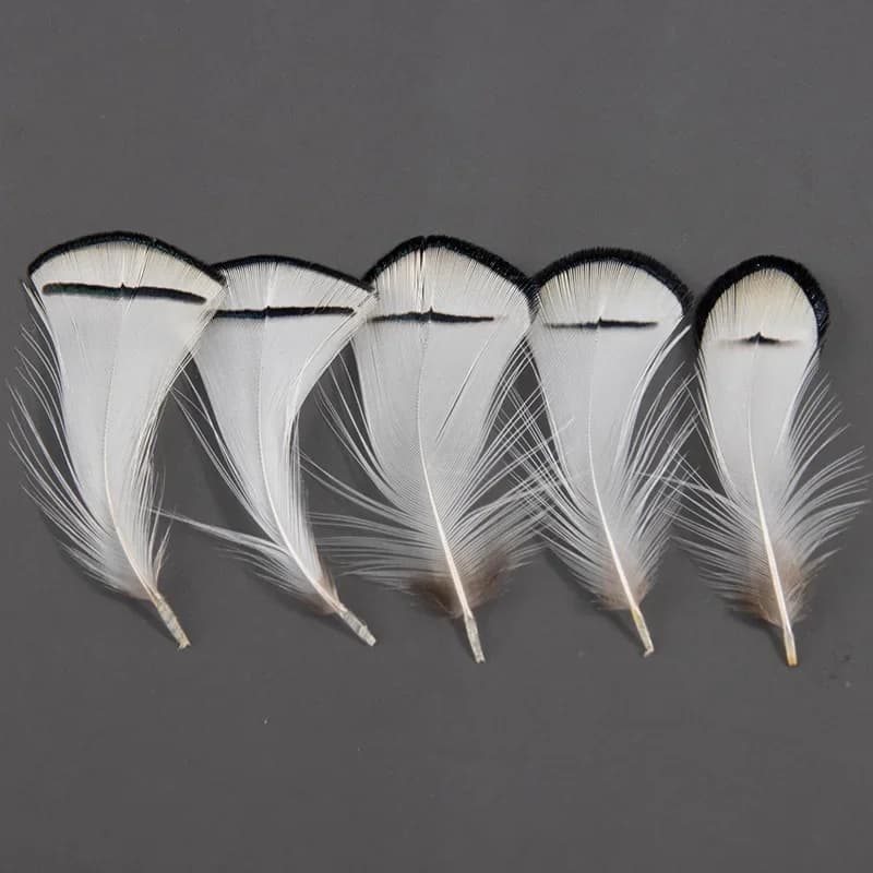 5-7cm Natural Pheasant Feathers for Crafts Chicken Plume Dream Catcher Accessories DIY Jewelry Creation Handicraft Decorations