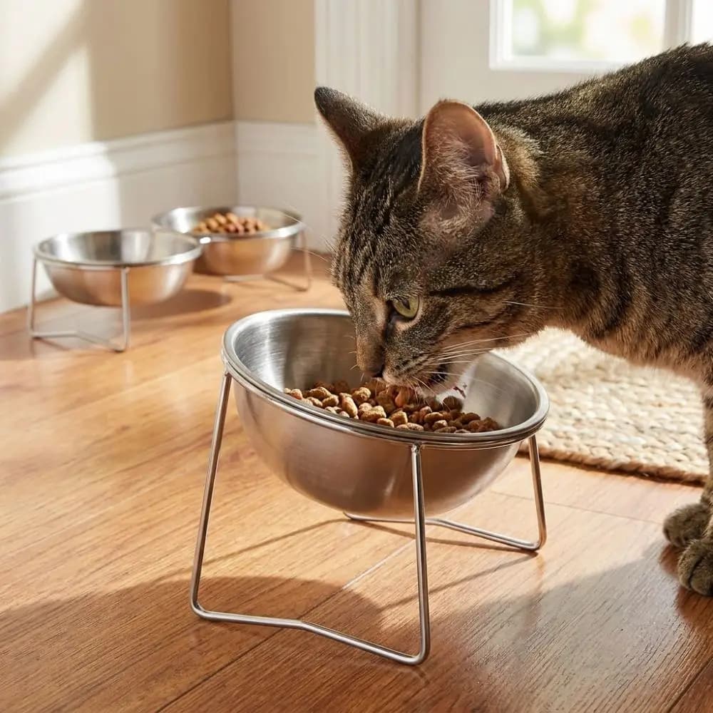 Large Capacity Stainless Steel Cat Bowl Neck Protection Anti-Tipping Elevated Pet Food Bowl Nonslip Shatterproof Dog Food Bowl