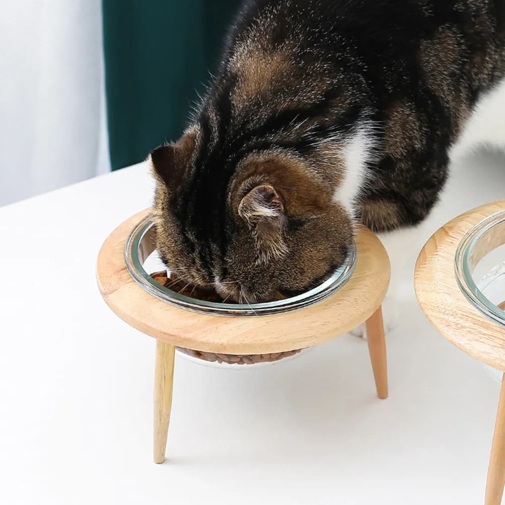 Set di 1 Ciotola in Vetro per Animali Domestici, Colore Kaki, Base Alta con Supporto per il Collo, Ciotola Stabile per Acqua e Cibo per Cani e Gatti