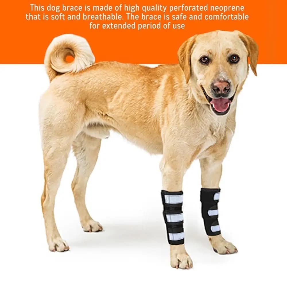 Supporto Leggero per Zampe Anteriori di Cani in PC, Regolabile, Antiscivolo, con Strisce Riflettenti e Traspiranti per Supporto ACL