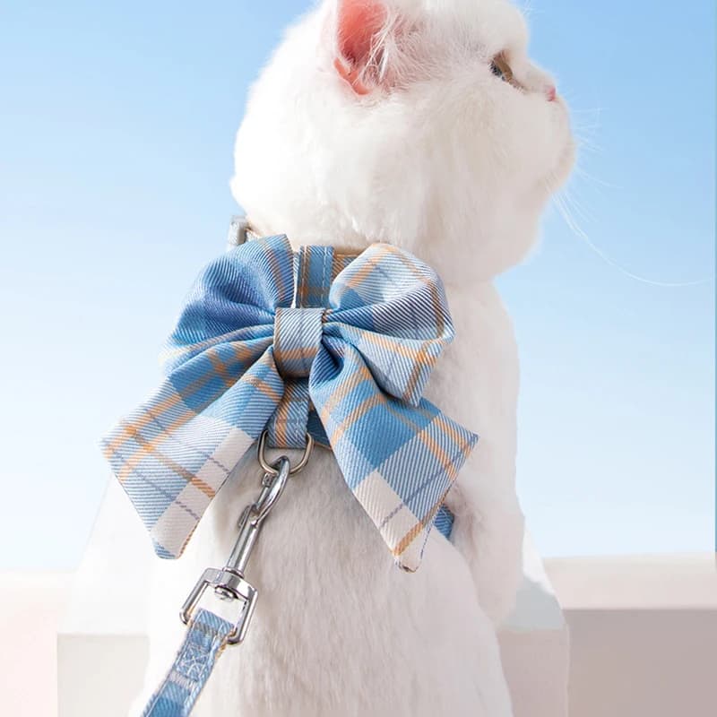 Guinzaglio per animali anti-fuga Corda da passeggio per cani e gatti Uso esterno Catena per gatti Cravatta per cuccioli Forniture per animali Guinzaglio per gatti Guinzaglio per vestiti