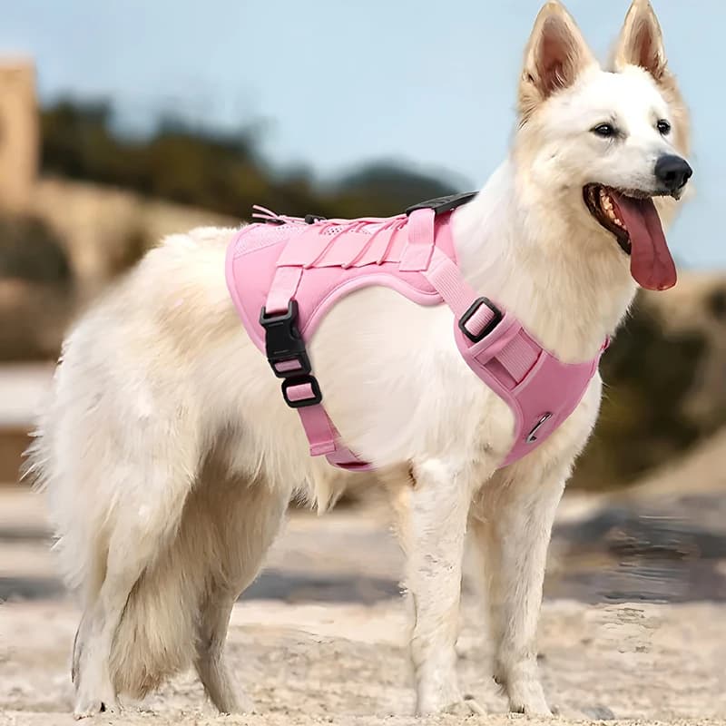 Nuovo set tattico di pettorina e guinzaglio per cani, regolabile, resistente, per esterni, set da 3 pezzi, accessori per animali domestici