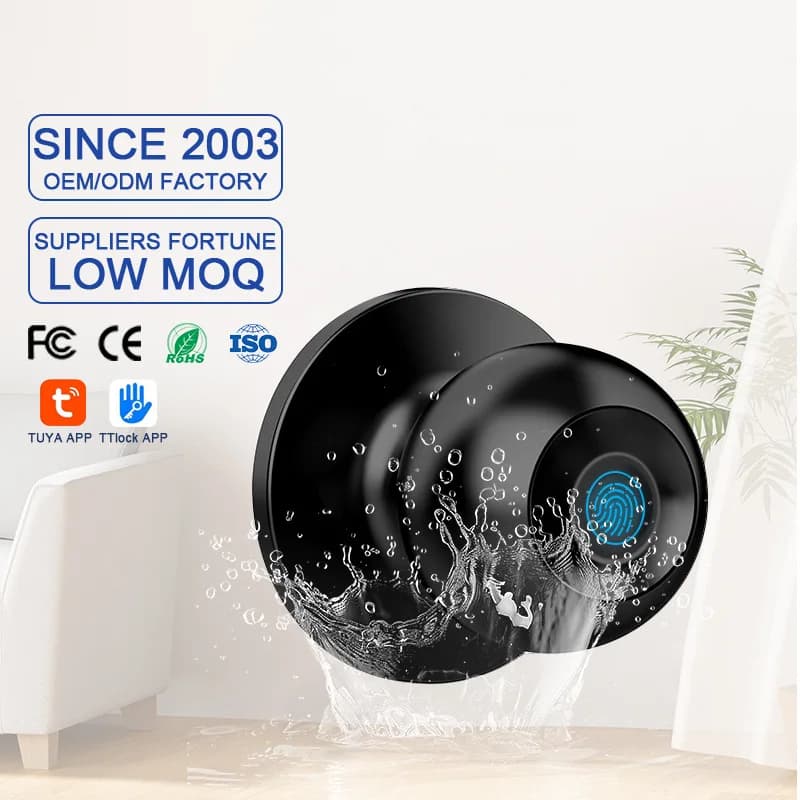 Smart Door With Tuya Biometric Fingerprint Smart Door Lock Electronic Lock Keyless Security Door Entry Home House Apartment