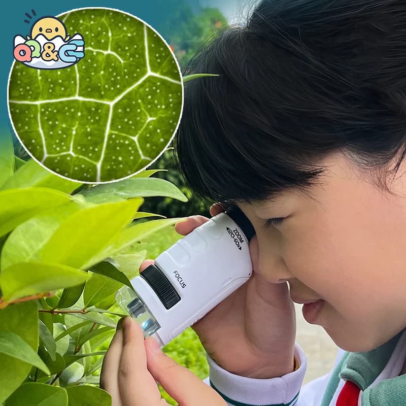 Esperimento scientifico di bioscienza 120X Kit microscopio per bambini Campione biologico Puzzle portatile Giocattoli educativi per bambini