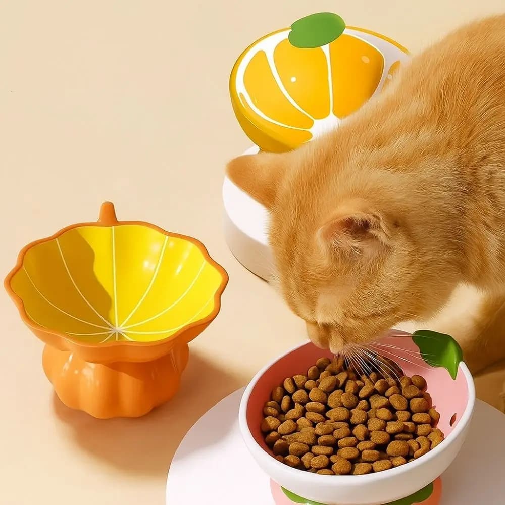 Ciotola per Gatti in Ceramica Dipinta a Mano, con Piedino Alto e Bordo Inclinato, Serie Frutta, Protezione Collo, Ciotola per Cibo Animali Domestici