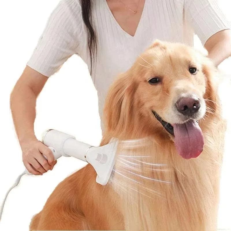 Asciugacapelli per Cani e Gatti Bestseller 2026: Spazzola per Toelettatura 3-in-1 con Temperatura Regolabile e Soffiatore Elettrico - Silenzioso 50dB Multifunzione