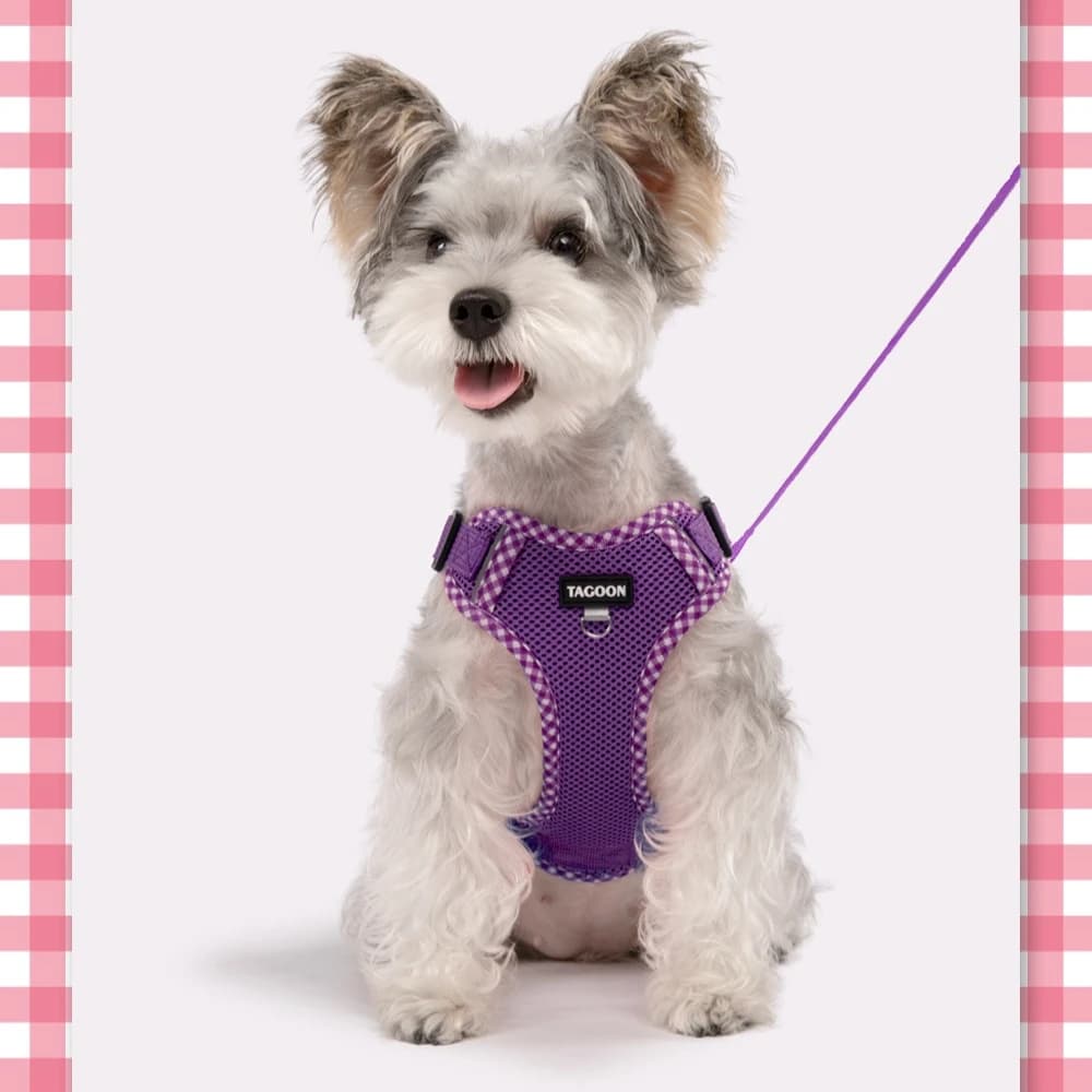 Pettorina Universale per Cani e Gatti, Stile Gilet, Riflettente, Traspirante, Antiscivolo, con Guinzaglio Integrato