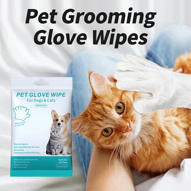 Guanti per la pulizia a secco degli animali domestici, salviette deodoranti monouso per il bagno di gatti e cani, delicati e pratici