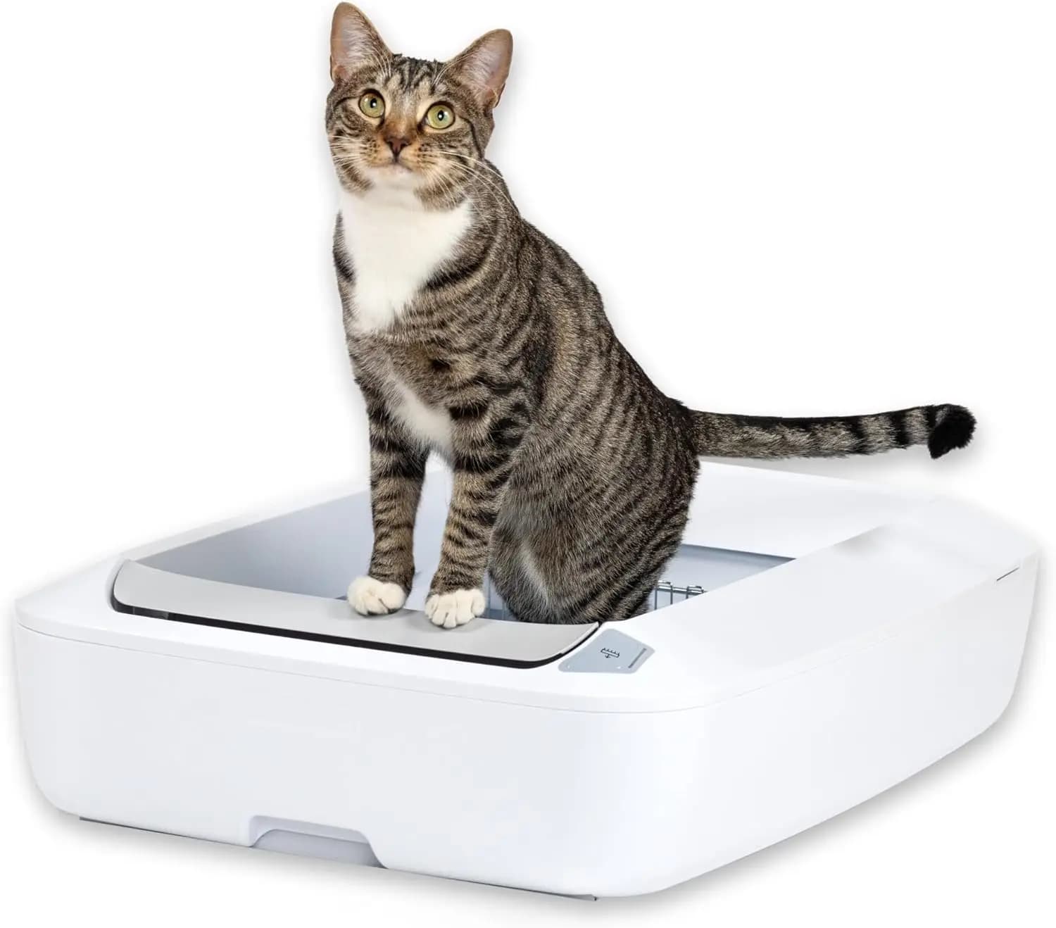 Lettiera per gatti autopulente automatica con vassoio in cristallo - Controllo avanzato degli odori, bianco