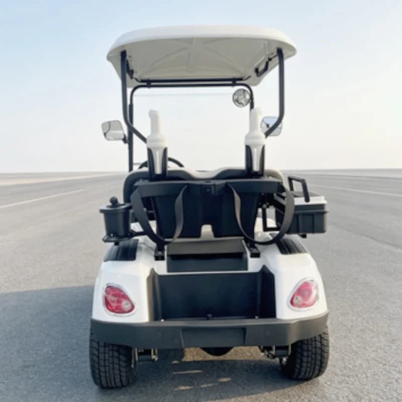 Off-Road Hunting 72V 5KW Lithium Battery 2-Seater Electric Golf Cart Ball Washer Golf Bag Rack And Basket Sand Bucket X2