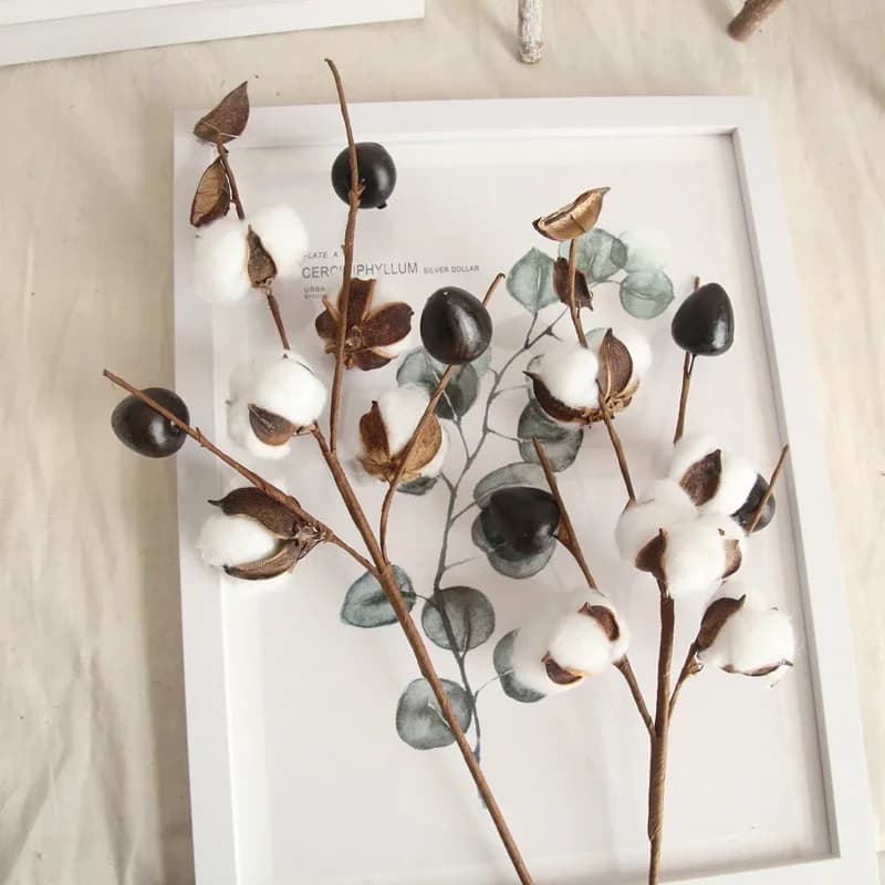 5 testa di cotone essiccato naturalmente fiore fai da te artigianato frutta secca rustico decorativo decorazione della casa decorazioni di nozze