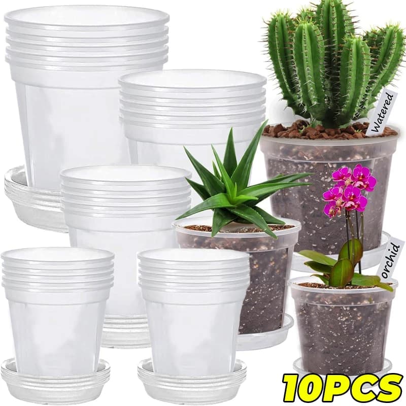 Vasi Trasparenti per Piante e Fiori con Base a Vassoio, Contenitori Multiuso in Plastica per Semina e Coltivazione
