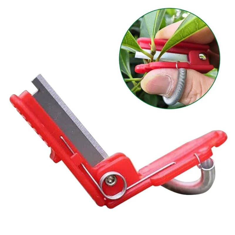 Separatore di coltelli Strumento per la raccolta di frutta e verdura per colpo di verdure da giardino agricolo