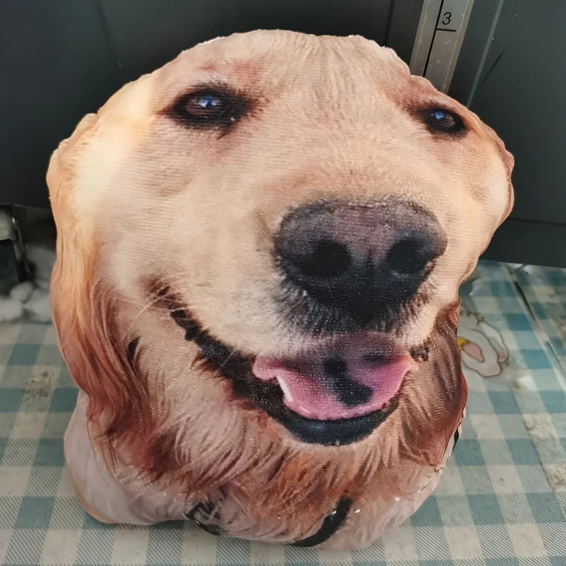Un brutto cuscino per gatti, personalizzato con foto stampate, bambola con cuscino dalla forma personalizzata, cuscino per animali domestici. Simulazione di gatto e cane