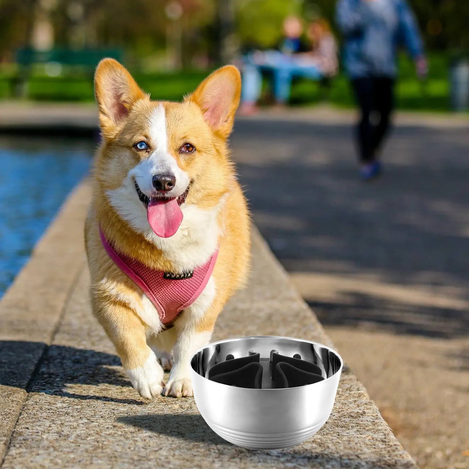 Inserti per Ciotole Slow Feeder per Cani, Inserto Multifunzionale per Alimenti Umidi e Secchi, Design Compatto con Angoli Arrotondati, Sicuro e Lento