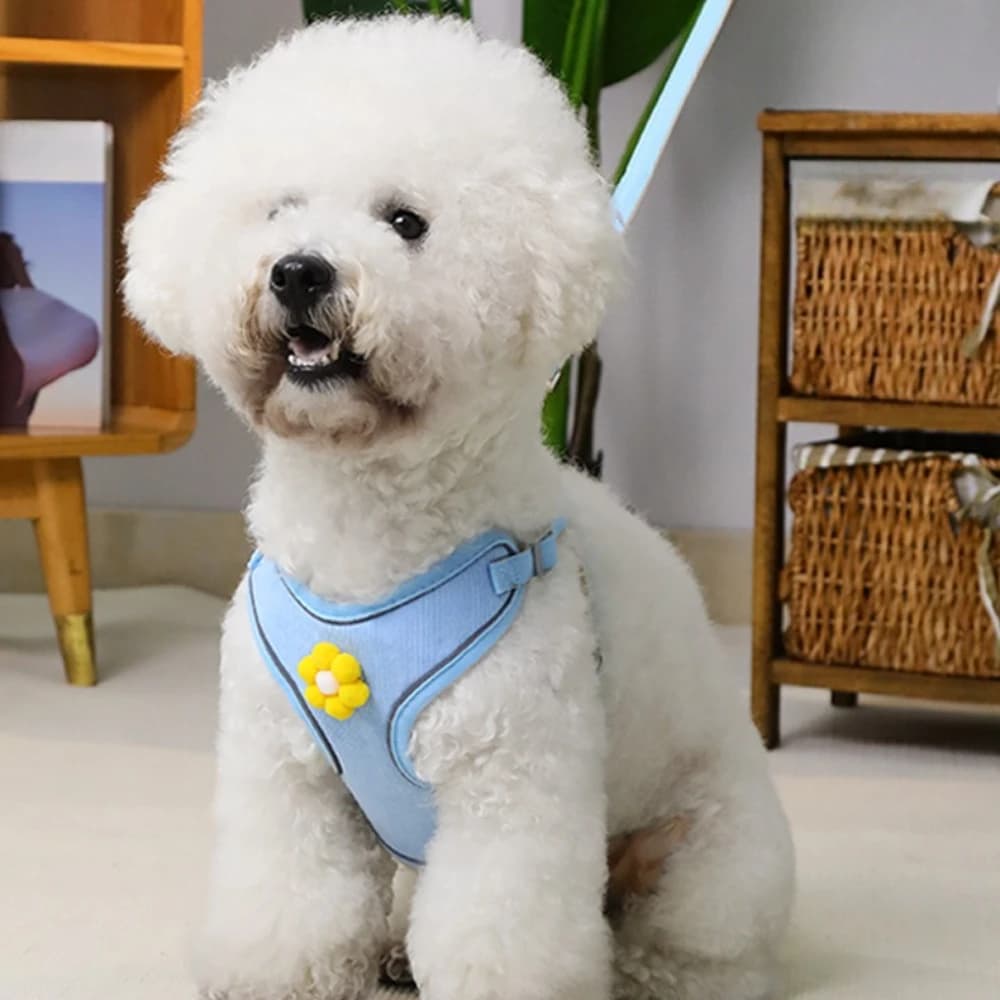 Cute Cartoon Dog Harness and Leash, No Pull Vest Style Walking Lead for Schnauzer & Dachshund