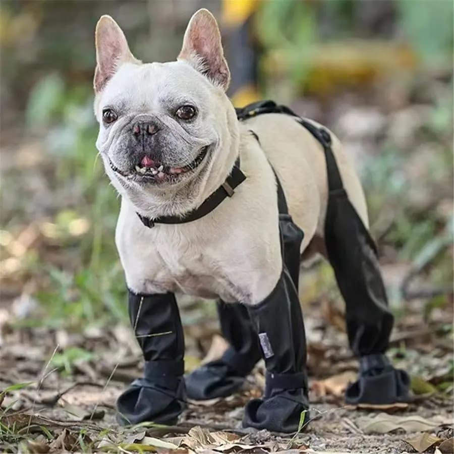Stivali con bretelle per cani Stivali alti per cani Antiscivolo e autunnali Scarpe per cani impermeabili Leggings Inverno Neve Pioggia Escursionismo Zampe Protezione