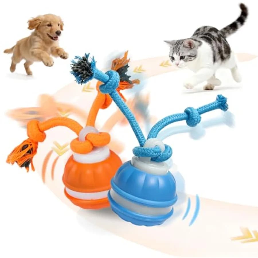 2-Pack Interactive Dog and Cat Toys for Small Dogs Indoor Cats - Auto Moving Balls with Chirping Squeaky Sounds, Rechargeable M
