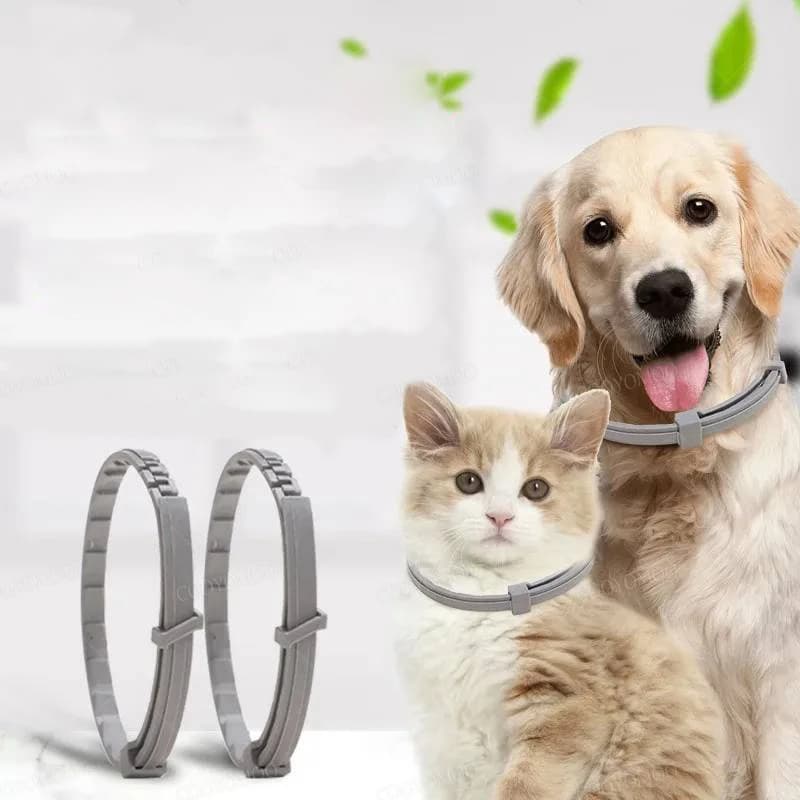 Collari per Cani e Gatti 72cm 38cm per Cani Piccoli e Gattini, Collare Regolabile, Accessori per Animali Domestici, Grigio Blu Nero Rosa Viola