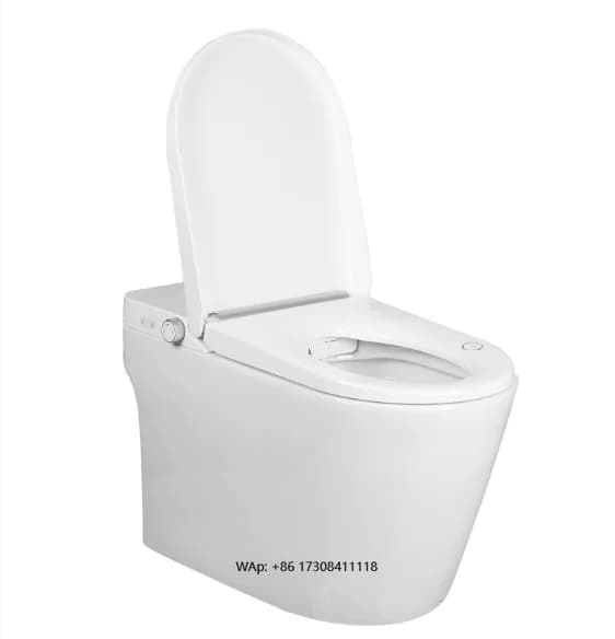 Bidet elettrico impermeabile monopezzo Toilette intelligente calda automatica intelligente