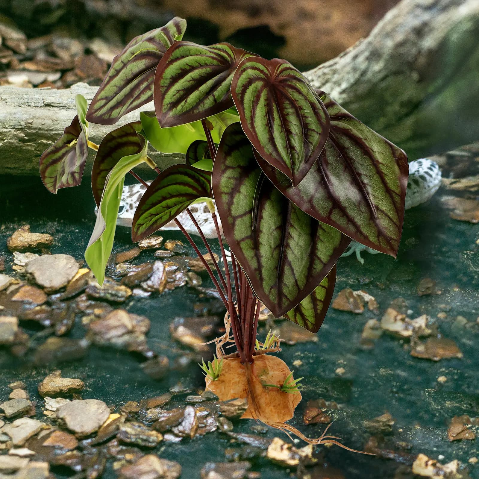 Artificial Plants for Reptiles, Realistic Decorations for Terrariums, Land Accessories, Habitat Decorations for Barbuti Dragons
